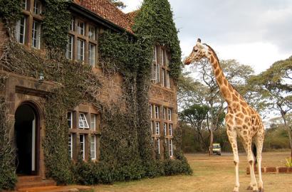 Green Homes in Kenya: Where to Find Eco-Friendly Real Estate in 2025