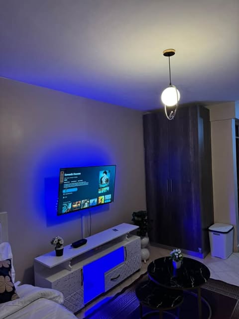 FURNISHED STUDIO BNB FOR SALE IN KITUSURU.