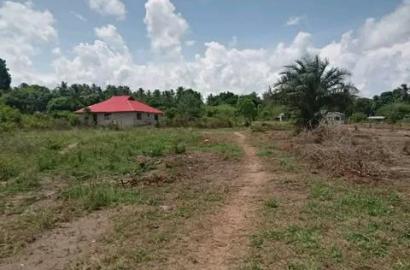 DIANI PARADISE COASTAL PLOTS FOR SALE