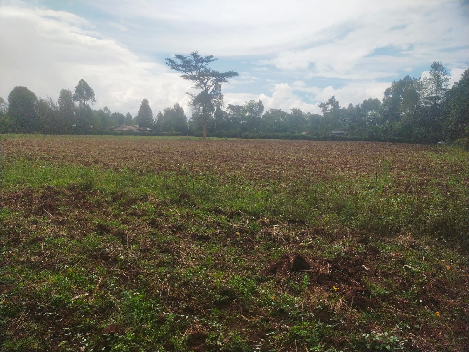 Bethany Ridge Acquisition – Prime Land for Sale in Kitale