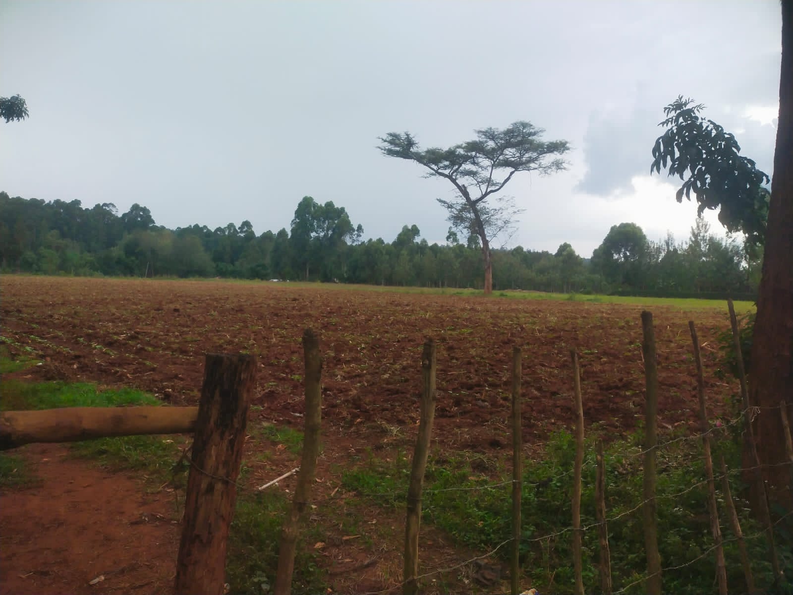 Bethany Ridge Acquisition – Prime Land for Sale in Kitale