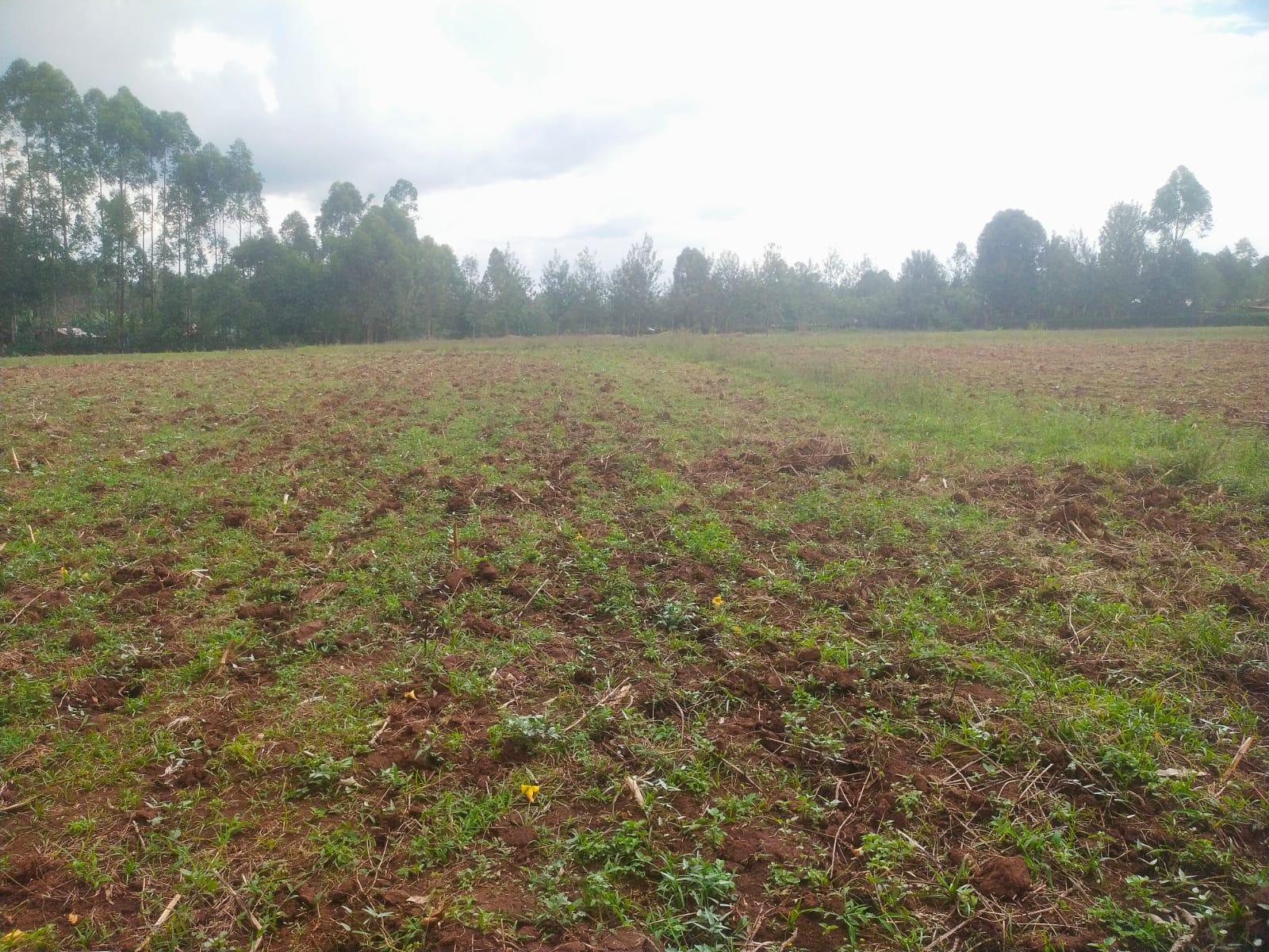 Bethany Ridge Acquisition – Prime Land for Sale in Kitale