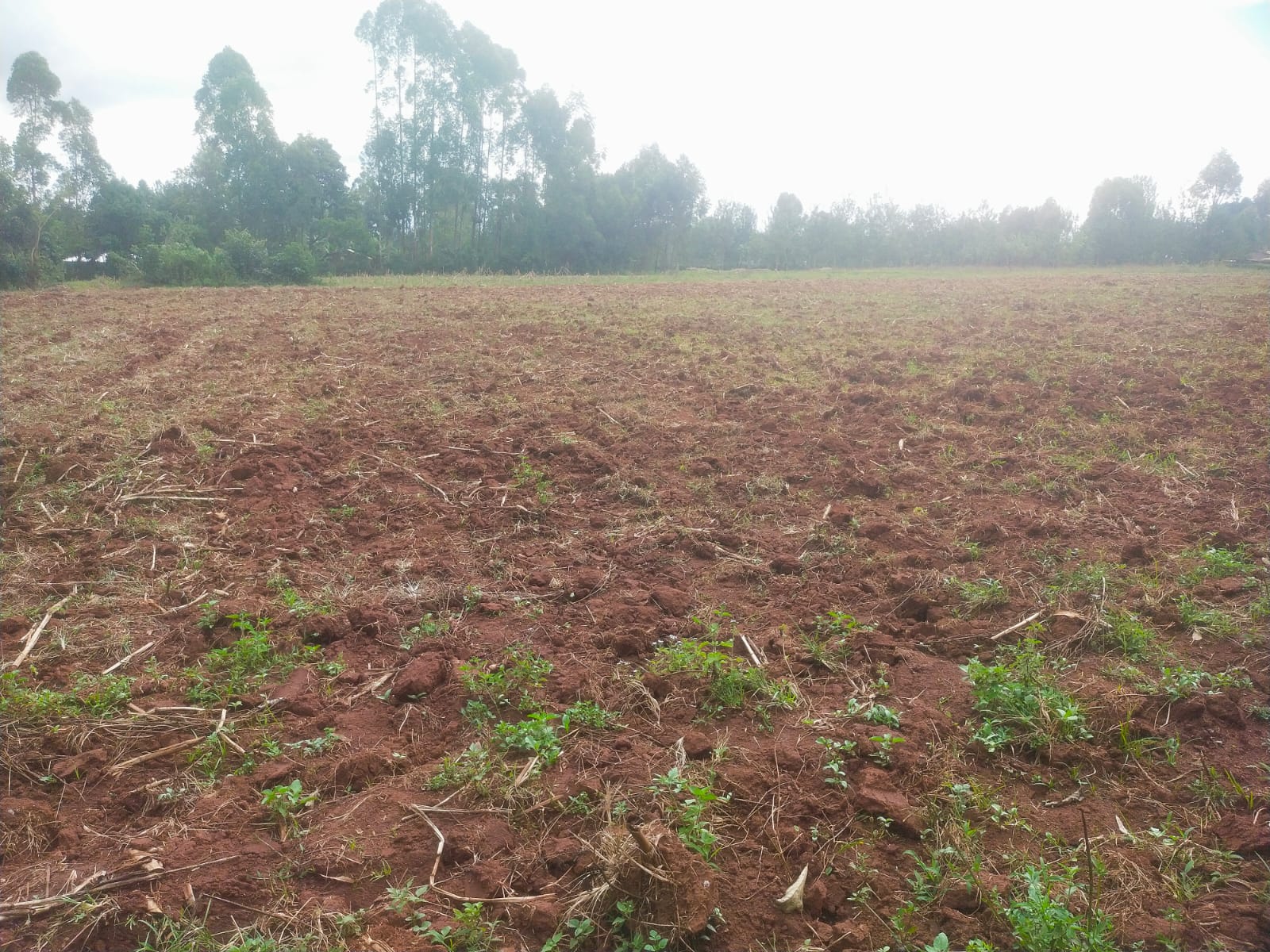 Bethany Ridge Acquisition – Prime Land for Sale in Kitale
