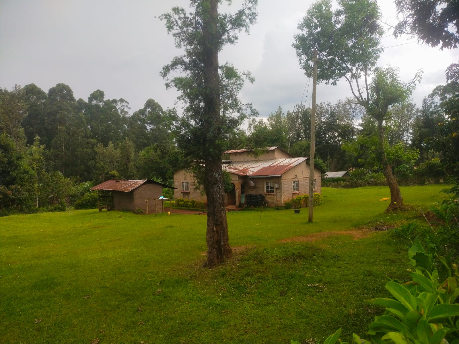 Bethany Ridge Acquisition – Prime Land for Sale in Kitale