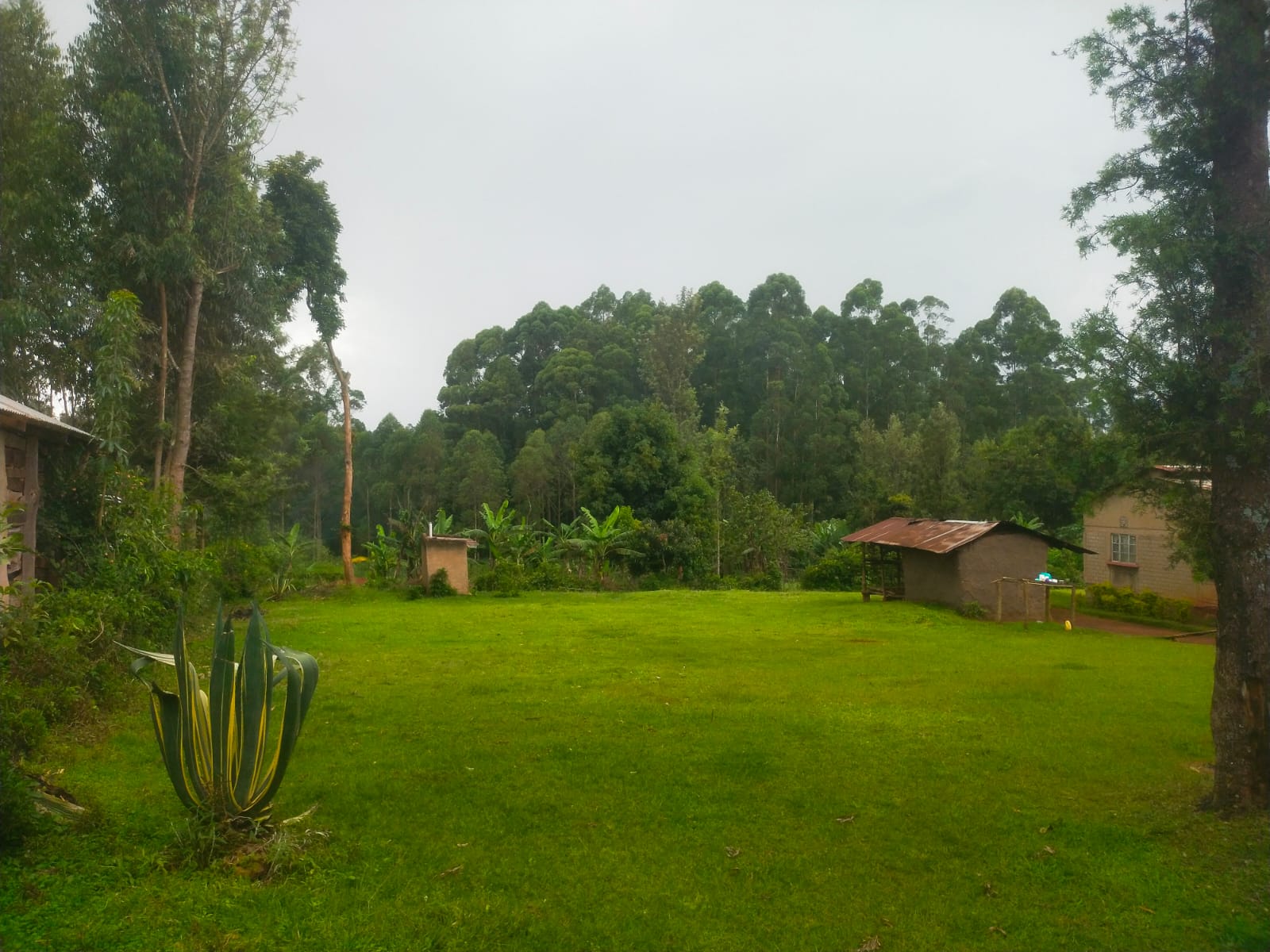 Bethany Ridge Acquisition – Prime Land for Sale in Kitale
