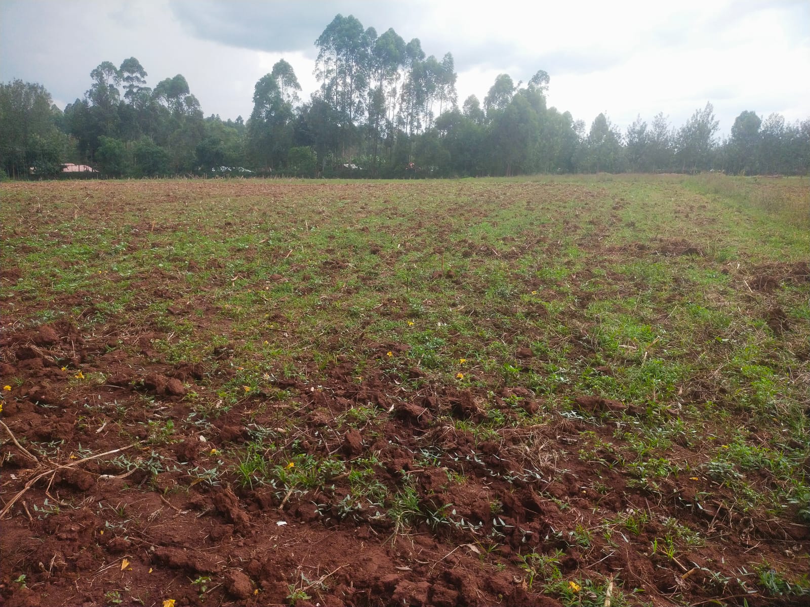 Bethany Ridge Acquisition – Prime Land for Sale in Kitale