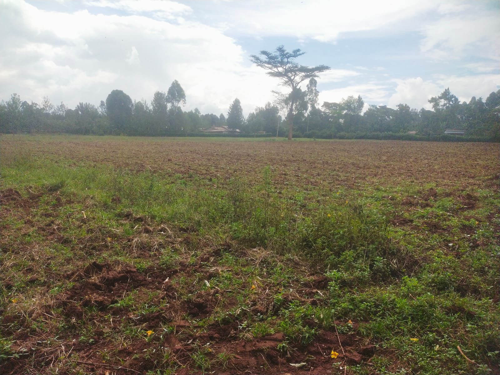 Bethany Ridge Acquisition – Prime Land for Sale in Kitale
