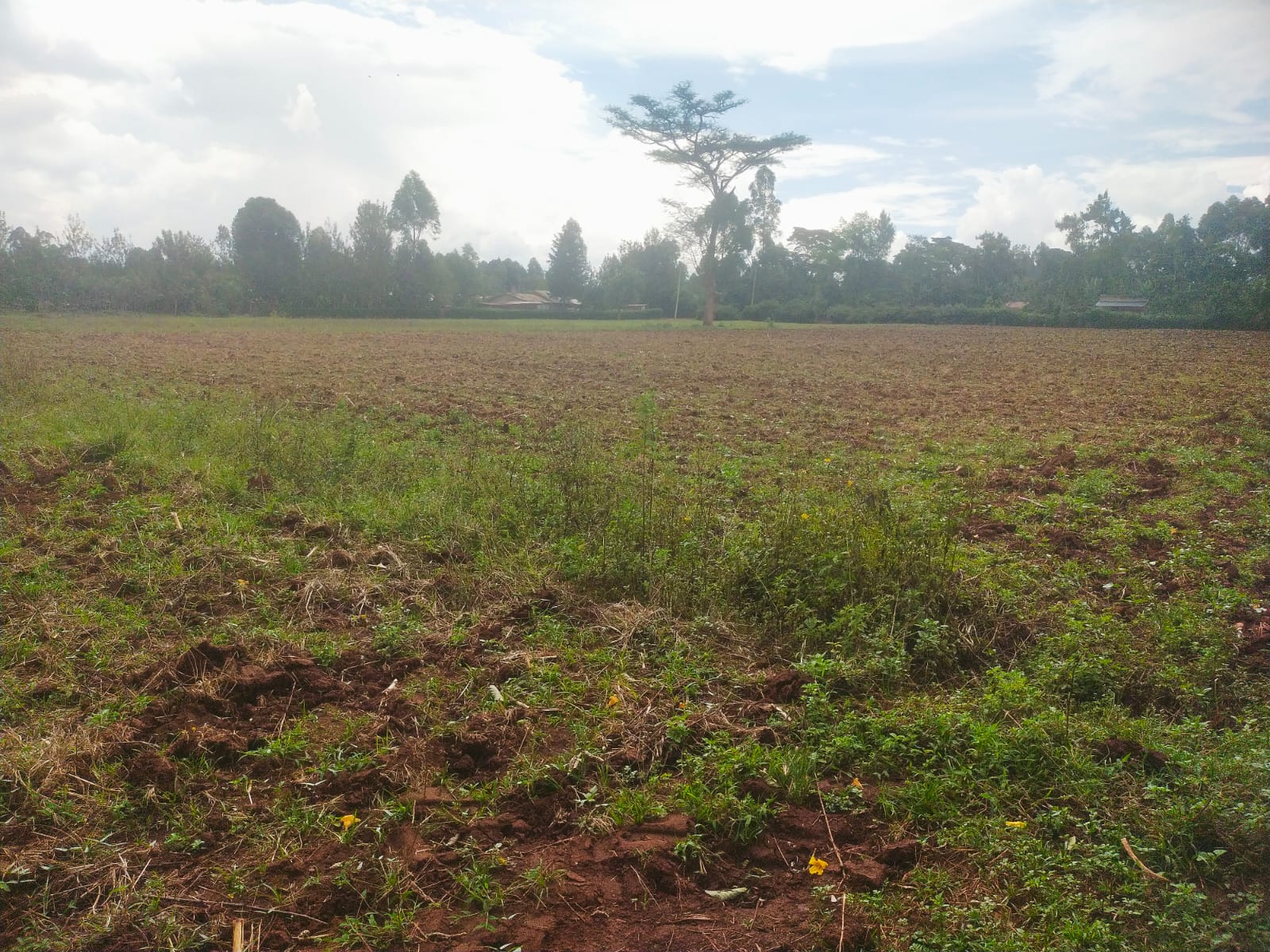 Bethany Ridge Acquisition – Prime Land for Sale in Kitale