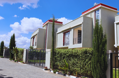 Premium 4 Bedroom Villa with DSQ in Kitengela