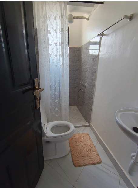 Modern 1 Bedroom Apartment in Ruaka, Wangige