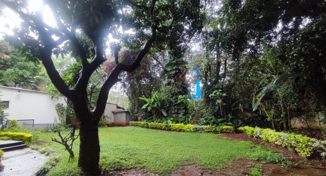 Family Friendly 5 Bedroom Maisonette with DSQ in Riverside