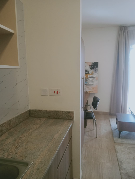 Prestigious 1 Bedroom Apartments in South C