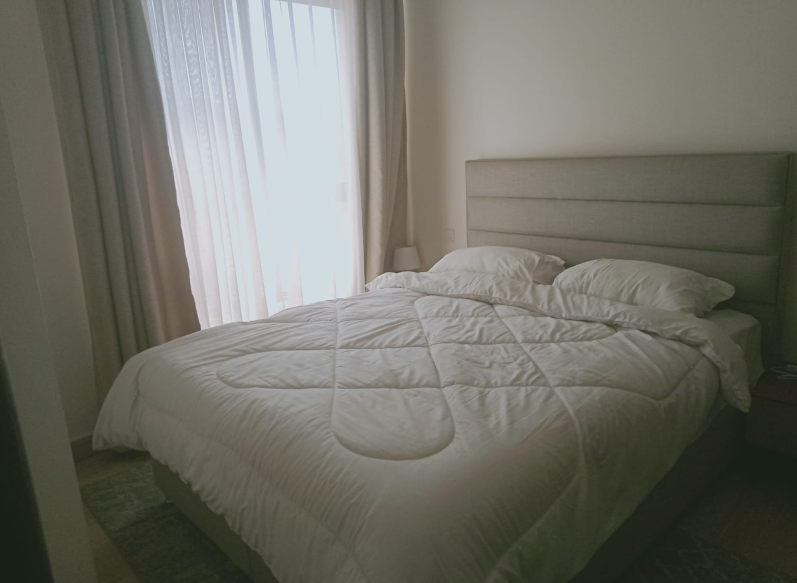 Prestigious 1 Bedroom Apartments in South C