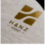 Hanz Group Limited