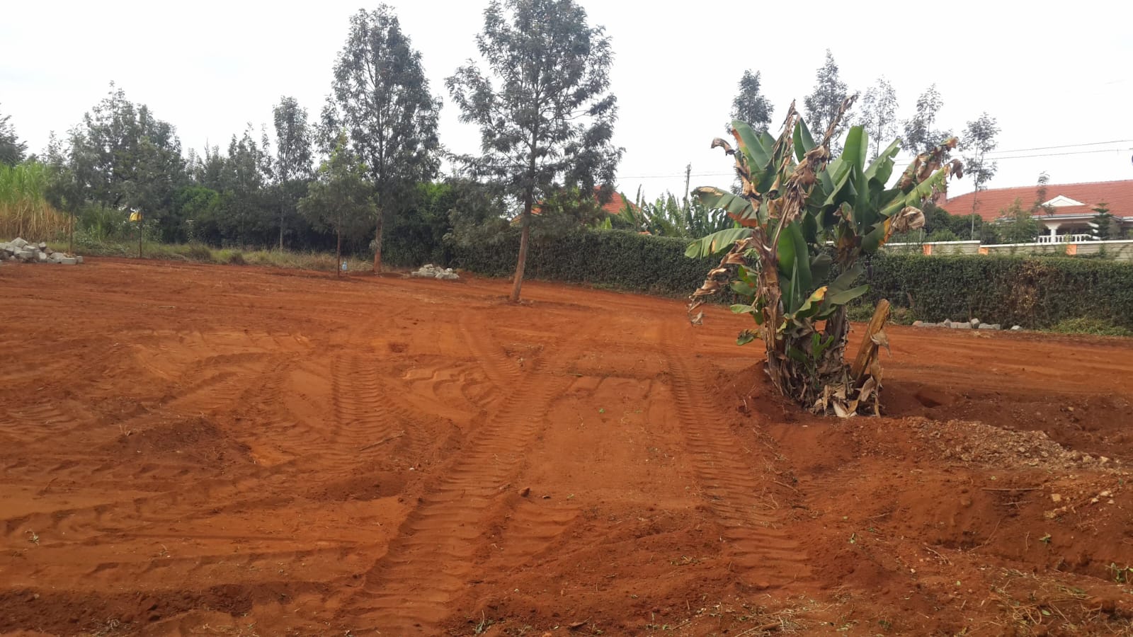 Prime land for sale slightly abobe half and acre in Ridgeways. 50 M