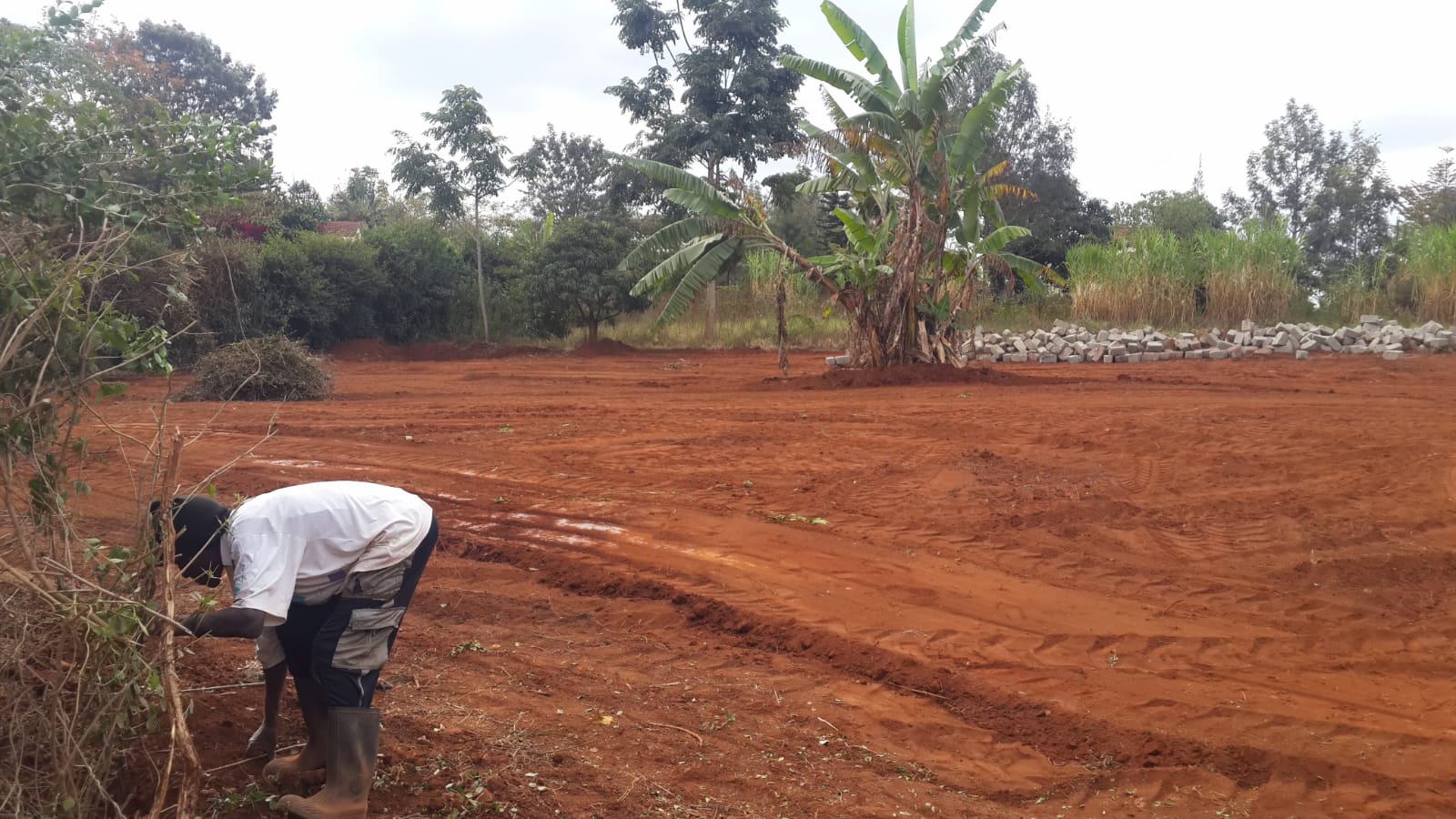 Prime land for sale slightly abobe half and acre in Ridgeways. 50 M